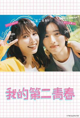 营口网站建设优化优势